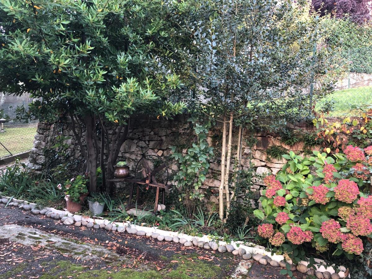La Casa Verde B&B Trivero 外观 照片